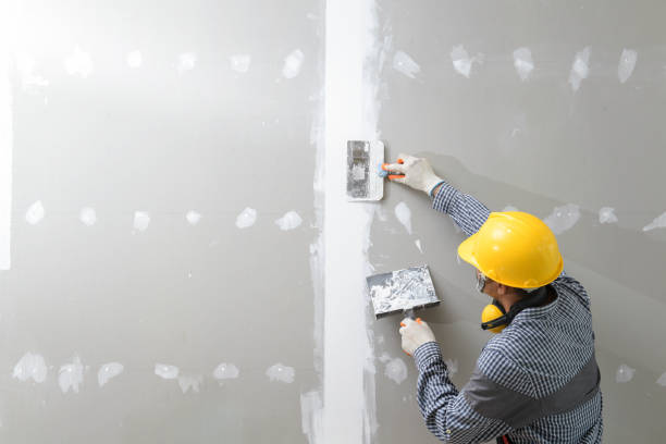 Best Ceiling Drywall Installation  in Waverly, IA